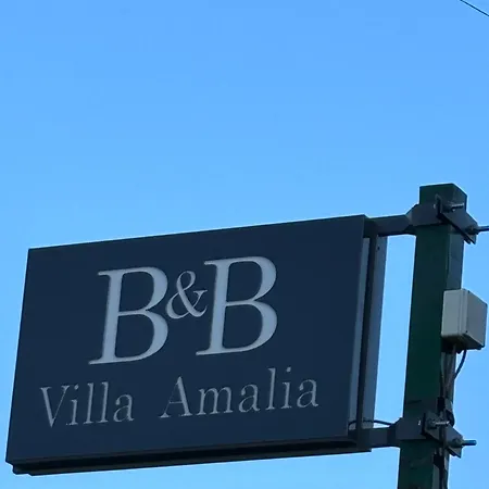 Amalia B&B 몬탈토 우푸고