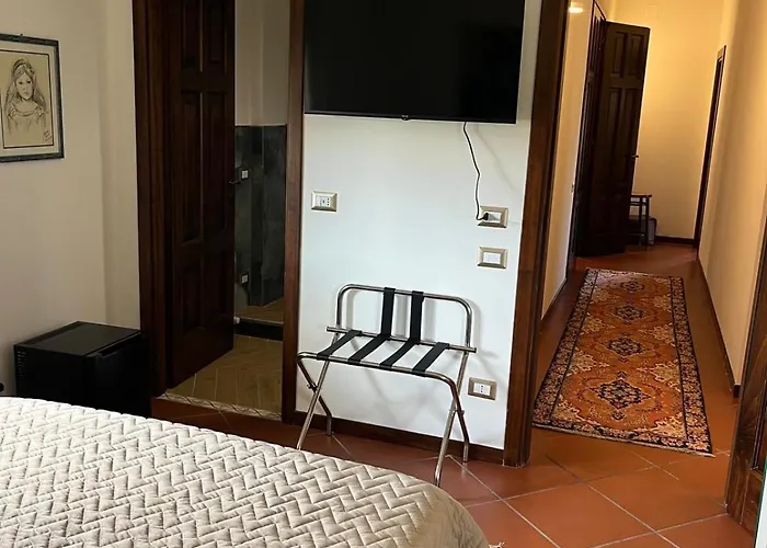 Amalia מונטאלטו אופוגו