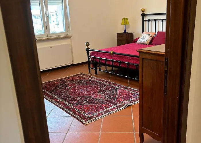 Amalia מונטאלטו אופוגו