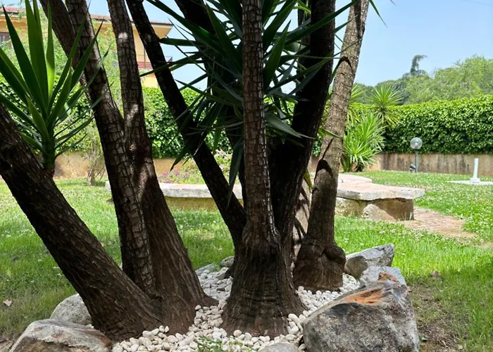 Amalia 住宿加早餐酒店 蒙塔尔托乌富戈