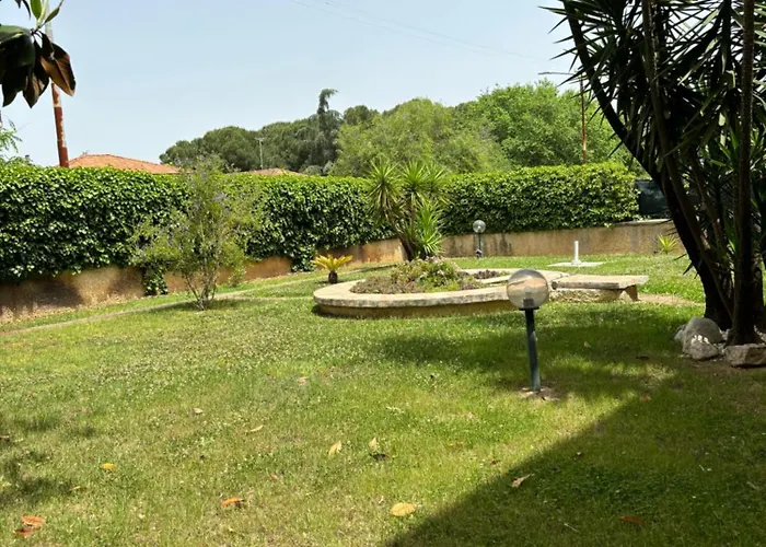 Amalia Montalto Uffugo